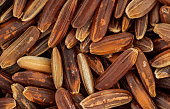 Red wholegrain rice under microscope, image width 18mm