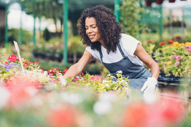 istock Young woman working in a garden center 1408069927
