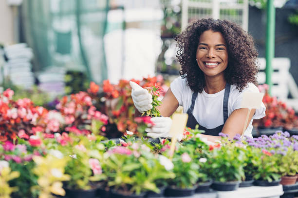 istock Smiling gardener carefully holding a potted flower 1408069932