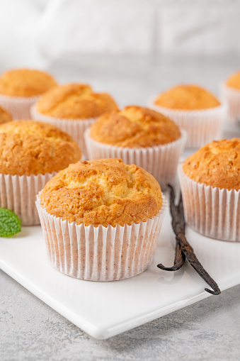 Fresh baked Vanilla cupcakes with mint, selective focus, copy space