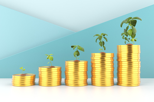 Money Growth Concept. Plants On Coins