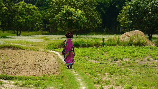 Sitamarhi, Bihar, India- 14 ‎June ‎2022 :indian farmer's family in the farm