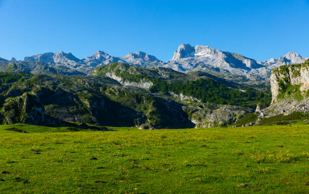 istock Peaks of Europe, Spain 1408072785