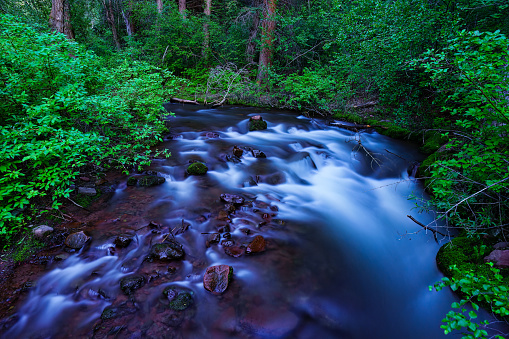 Wilderness Area Mountain Creek Landscape - Scenic nature tranquil scene of flowing water in lush green forest in summer.
