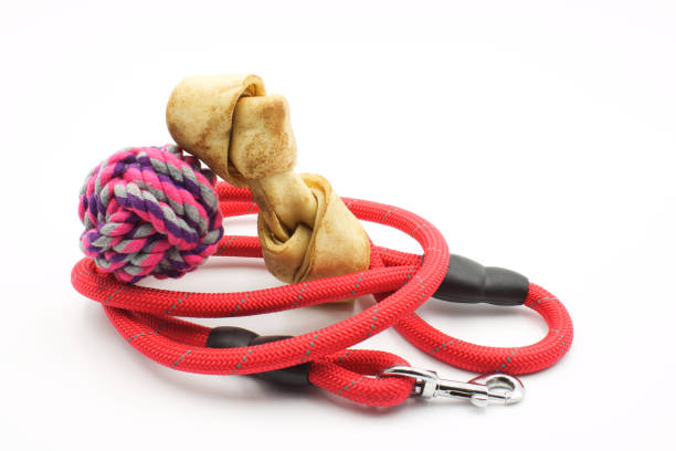 istock Red dog leash with a ball of string and a meat bone on a white background 1408077820