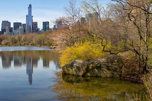 Springtime reflection in Central Park with the New York skyline in the distance