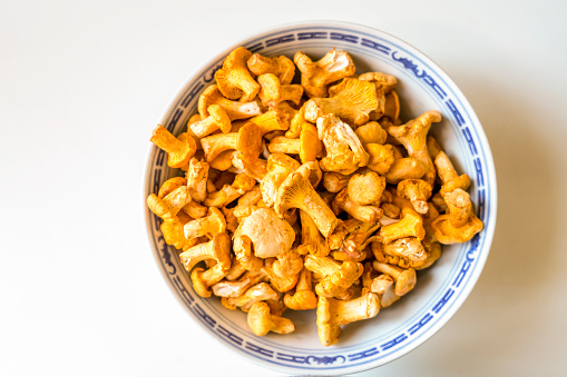 Fresh chanterelle MUSHROOMS in a bowl against white background.