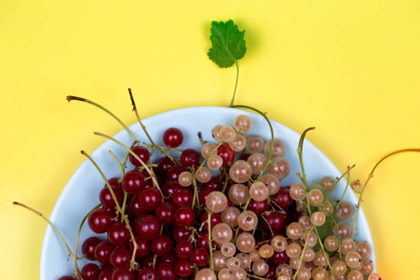 currant berries on a plate, top view