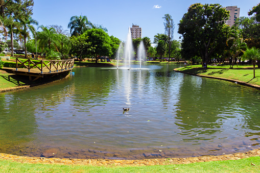 Anápolis, Goiás, Brazil – July 10, 2022:  A landscape of Parque Ambiental do Ipiranga, heavily wooded in the city of Anápolis in Goiás, showing the pier and the fountain in the lake.