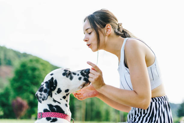 istock Young female playing with Dalmatian dog. 1408090297