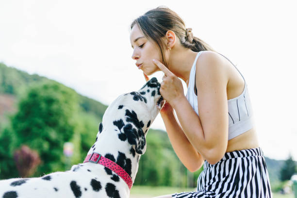 istock Young female playing with Dalmatian dog. 1408090840