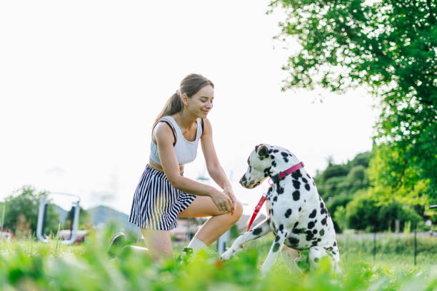 istock Young female playing with Dalmatian dog. 1408091146