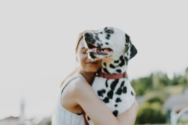 istock Young female playing with Dalmatian dog. 1408092919