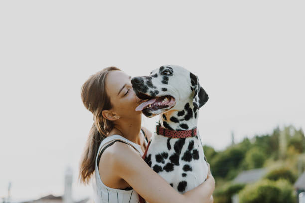 istock Young female playing with Dalmatian dog. 1408092921