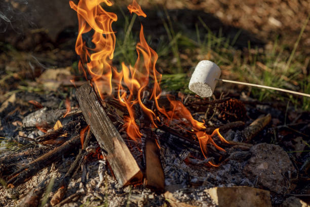 istock Roasting marshmallow on skewer over the bonfire 1408093121