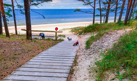 Resting and recreation area near sandy beach with playing dogs