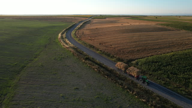 Tractor Trailer Transporting Rectangular Hay Bales