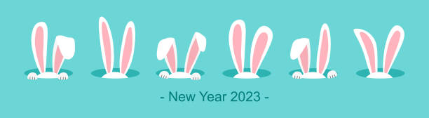 świąteczna ikona wektorowa królika, świąteczny króliczek w. symbol nowy rok 2023 na niebieskim tle. ilustracja święta zwierząt - rabbit humor animal cartoon stock illustrations