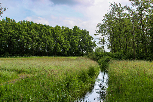 Nature reserve near Delft