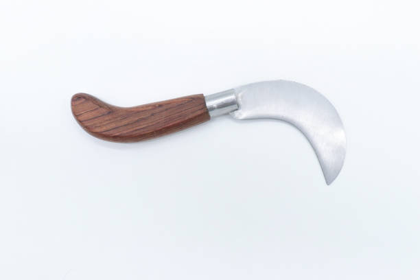 istock mallorca knife on white background, trinxet 1408110088