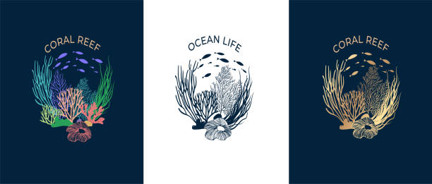 Composition of corals, reefs and algae. Multi-colored and golden reefs and corals on a dark blue background. Can be used to create a logo, icon, sing, pattern. Ocean life. Seabed vector illustration marine life logo stock illustrations