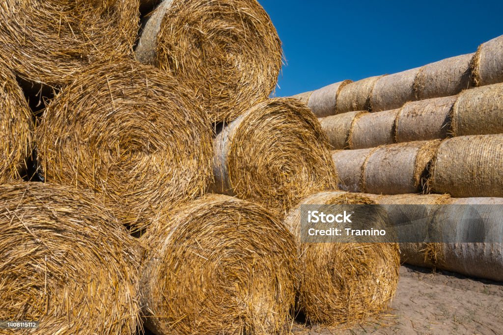 Dry round hay bales Shot on the dry round hay bales. Harvest time. Bale Stock Photo