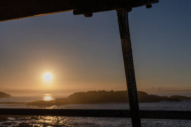 istock Cobwebs on a beautiful sunset near the oken 1408116068