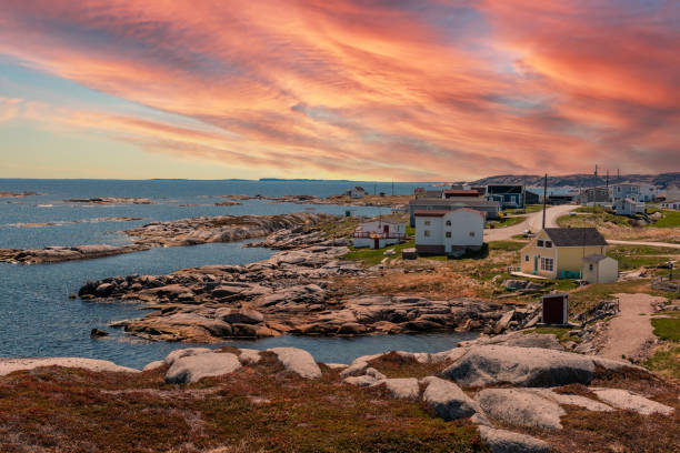 la vista di greenspond walking trail, greenspond island, terranova e labrador, canada - newfoundland foto e immagini stock