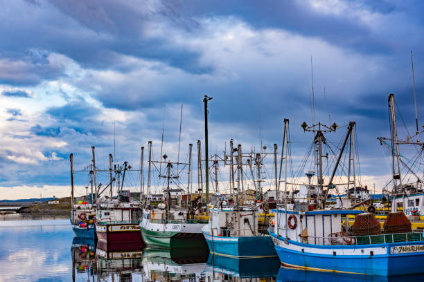 istock The pier view in the morning, Twillingate, Canada 1408116980