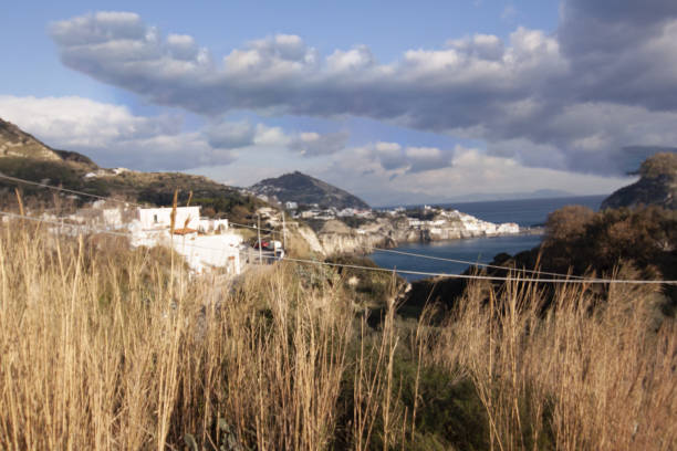 landscape panorama island of ischia naples - madonna imagens e fotografias de stock