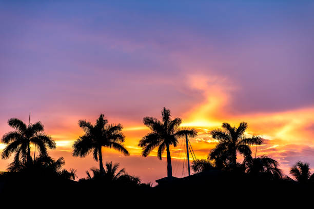 Hollywood Beach in North Miami, Florida view of villas houses at beautiful purple and orange glowing sunset with palm trees in dark silhouette closeup stock photo