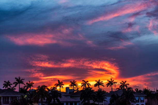 hollywood beach in miami, florida stranahan river and view of waterfront villas houses at beautiful sunset with palm trees in silhouette with glowing red sky - florida weather urban scene dramatic sky imagens e fotografias de stock