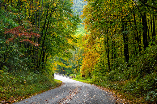 Colorful yellow red green foliage in autumn fall season in North Carolina Blue Ridge mountains national forest park with paved road path driving car pov in Balsam Gap