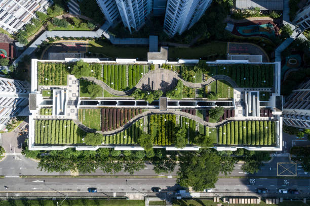 aerial shot of rooftop garden - green building imagens e fotografias de stock