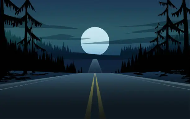 Vector illustration of Full moon night in forest with road