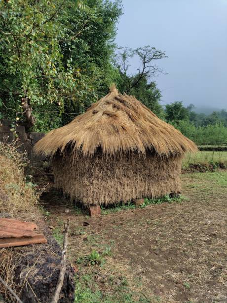 istock Farmland cabin with straw bale or hey stack. 1408141385
