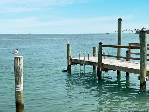 Empty deck and sea view in Florida