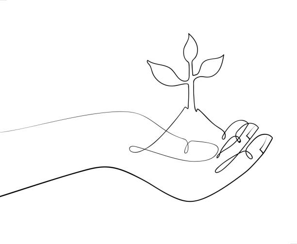 손잡고 공장 - tree growth cultivated sapling stock illustrations