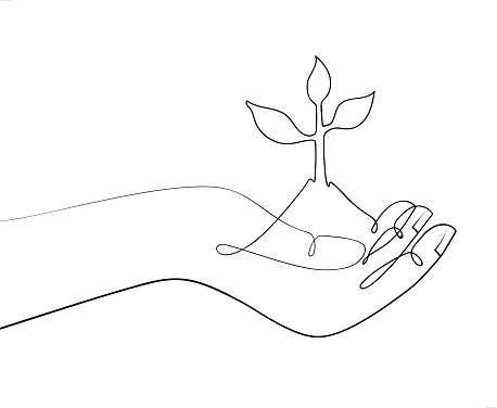 hand holding a plant growing from soil