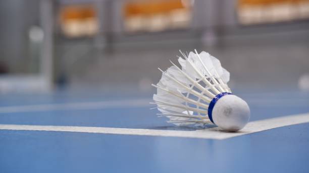 istock Badminton shuttlecock in line badminton court 1408153671
