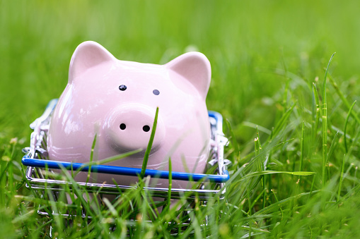Pink piggy bank on a shopping cart on a background of green grass. Shopping basket. World crisis concept. Internet sales concept: add to basket