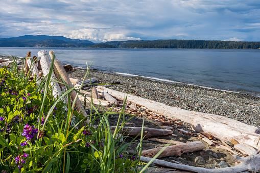 Dick Murphy Park, located along the waterfront of Campbell River on northern Vancouver Island.