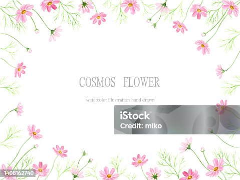 istock Watercolor illustration of cosmos flower frame 1408162740