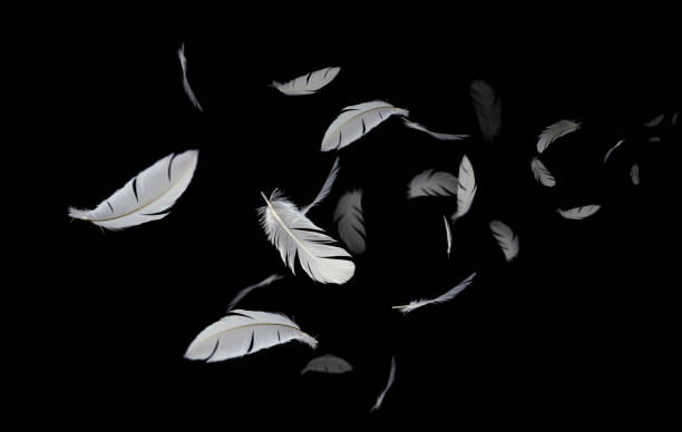 istock Abstract Group of White Bird Feathers Floating in The Dark. Feathers on Black Background. 1408164978