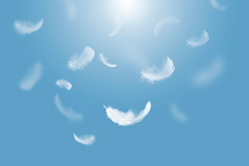 Plumas blancas y esponjosas flotando en el cielo. Plumas de cisne volando en el cielo. photo