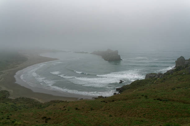 the gap en una mañana brumosa en castle point, wairarapa, isla norte, aotearoa / nueva zelanda. - castlepoint fotografías e imágenes de stock