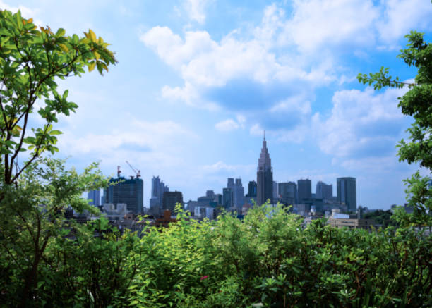 istock Skyscrapers seen from the lush foliage tree 1408167093