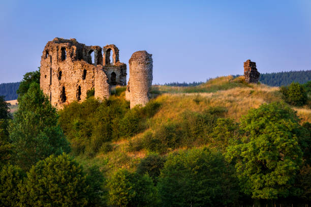 замок клюн шропшир - shropshire blue стоковые фото и изображения