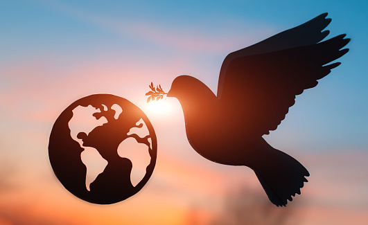 Peace world. silhouette dove carrying branch olive leaf planet Earth against background sunset sky. concept freedom International Day of Peace. pacifist