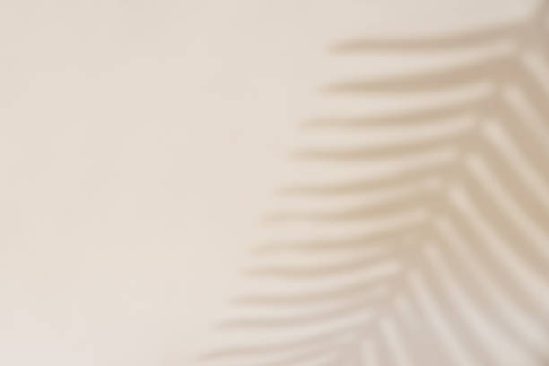 istock Shadow of palm leaf on pastel background 1408169250